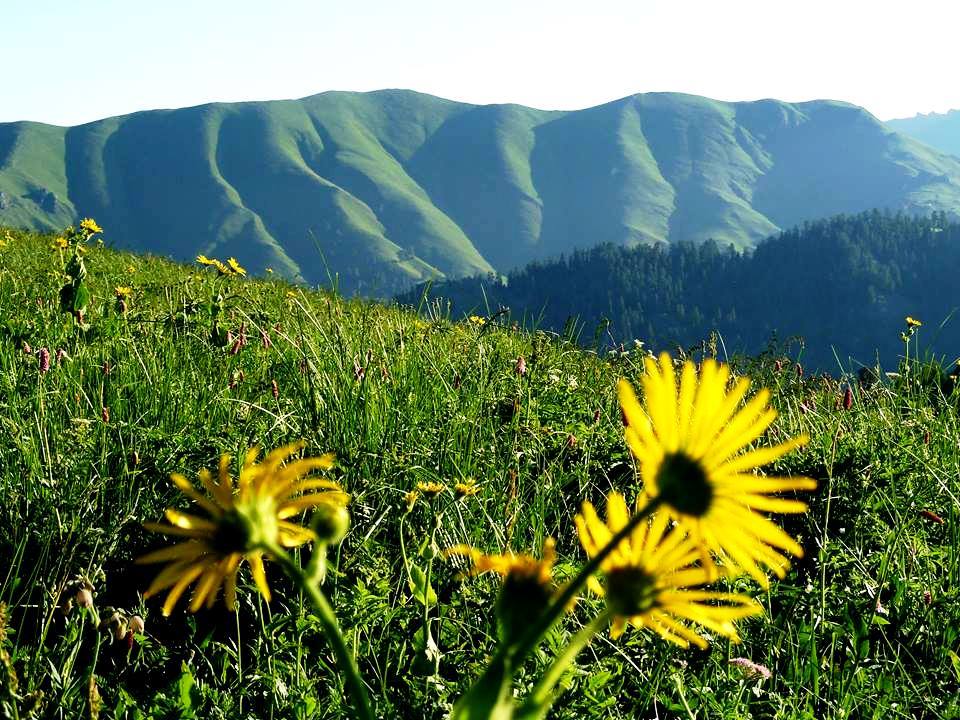 Explore Borjomi-Kharagauli National Park geotv.ge